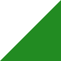 Elche CF