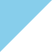 RC Celta de Vigo