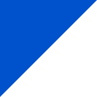 Real Sociedad de Fútbol